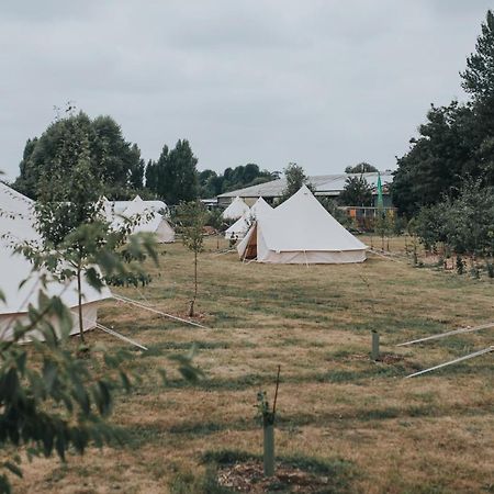 The Holford Arms Chalets And Glamping Hotel Didmarton Kültér fotó